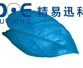工藝仿真花制造行業三維掃描案例